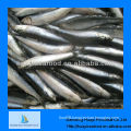 frozen anchovy fish